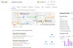 intención de búsqueda navegacional