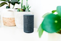 voice commerce