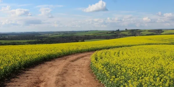 imagen de marca vanesayjonathan